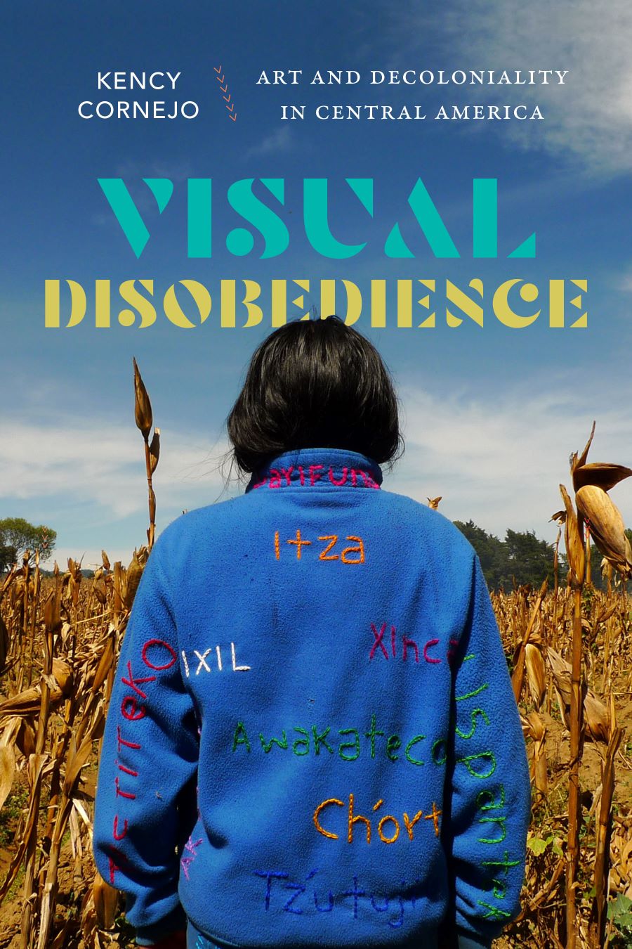 Visual Disobedience book cover