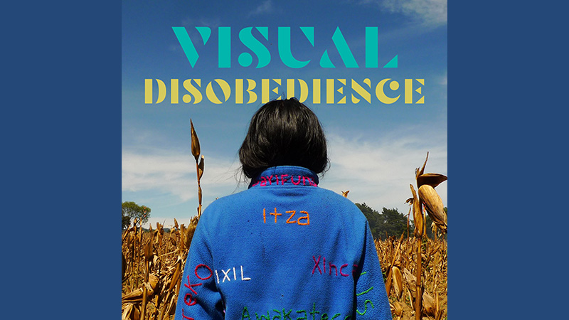 Visual Disobedience book cover
