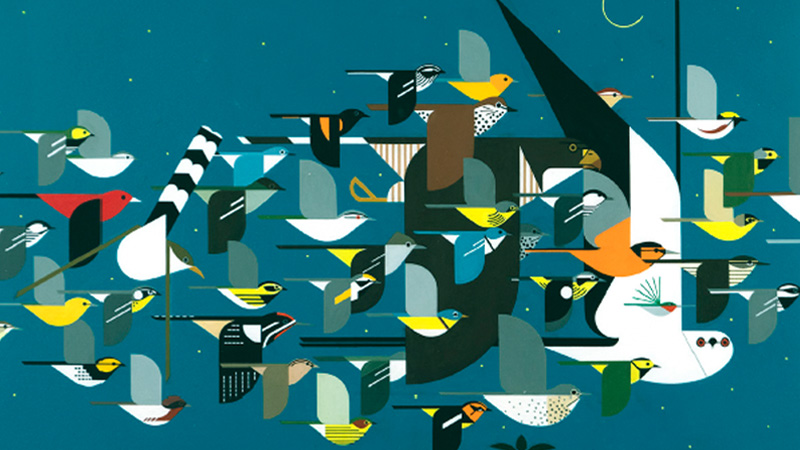 abstract geometrical illustrations of many birds